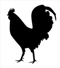 vector chicken silhouette
