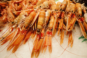 Fresh prawns at Boqueria market in Barcelona, Spain
