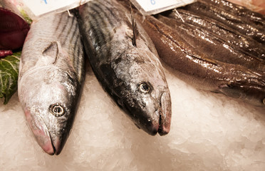 Fresh fish at Mercat de la Boqueria, Barcelona, Spain