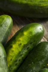 Raw Green Organic Cucumbers