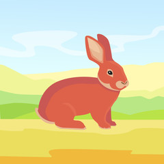 background with cute rabbit vector cartoon illustration