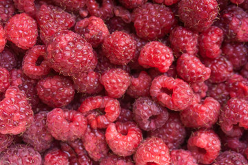 Fresh raspberries background