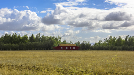 Fototapeta premium red house