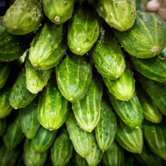 Pile of fresh green cucumbers
