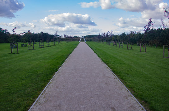 The long walk