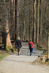Fototapeta premium lone hiker