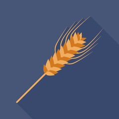 Wheat  flat icon on isolated transparent background.	