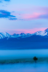 Colorado Western