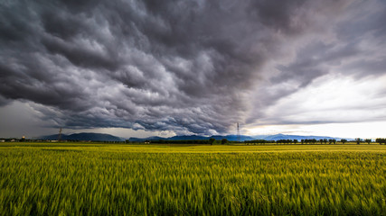 storm over the fields