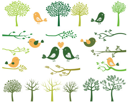 Green trees and branches silhouettes and birds