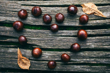 heart of chestnuts on the beam © marinafedosova