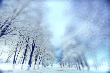 night landscape in winter city park