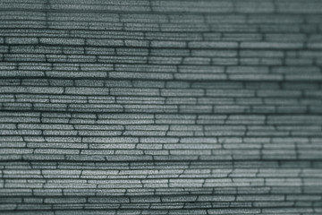 monochrome texture bamboo