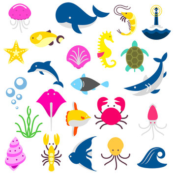 isolated fishes and beasts from the sea, shark, crab, octopus, dolphine, whale, turtle, fish, calmar, jellyfish