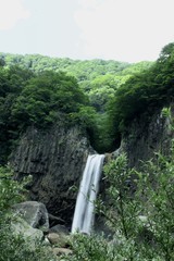 滝/新潟県にある苗名滝