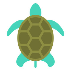 turtle isolated on white, flat style icon