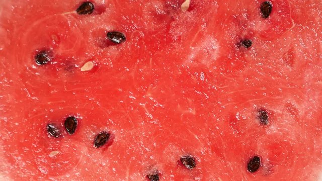 Close up red watermelon