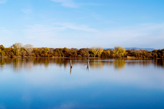 Reflections