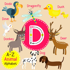 D letter tracing. Deer. Dodo. Dog. Donkey. Dove. Dragonfly. Duck. Cute children zoo alphabet flash card. Funny cartoon animal. Kids abc education. Learning English vocabulary. Vector illustration. © natchapohn