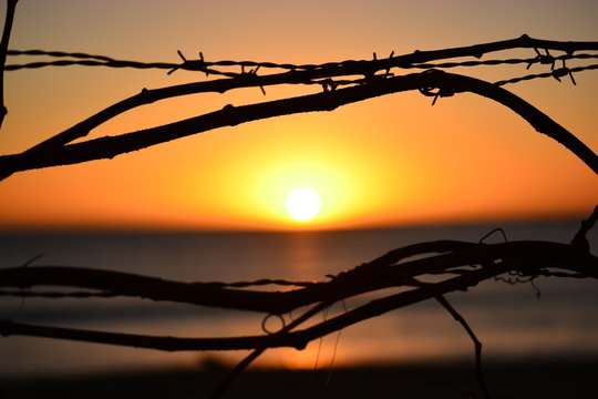 horizon in barb wire