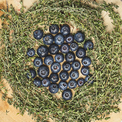 frutta mirtilli fragola