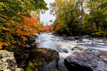 Autumn beginning to take affect on cottage country in the Quebec north. Trees turning blood red before the winter onslaught.