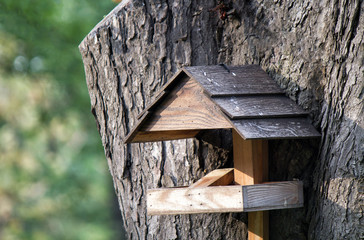 Opened birdhouse mounted on the tree, waiting for birds to come.