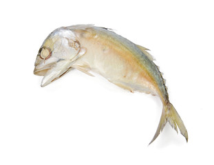 mackerel fish isolated on white background