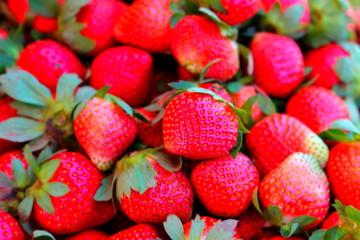 Fresh Strawberries
