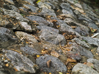stone floor texture