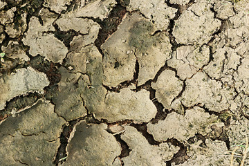 Fototapeta premium The ground after flooding