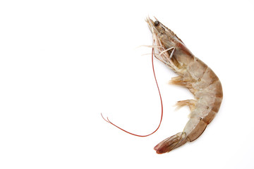 One raw shrimp