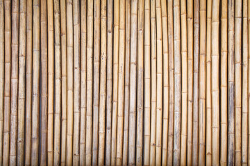 Brown bamboo wood fence pattern and background