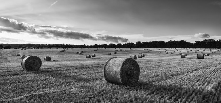 Beautiful countryside landscape image of hay bales in Summer fie