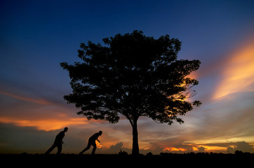 silhouette of trees and men happy
