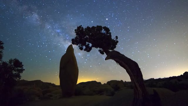 MoCo Dolly Astro TimeLapse of Galaxy thru Rock & Cypress in Joshua Tree Zoom Out