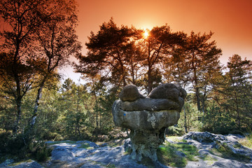 le sphinx des druides rocher remarquable en forêt de Fontainebleau