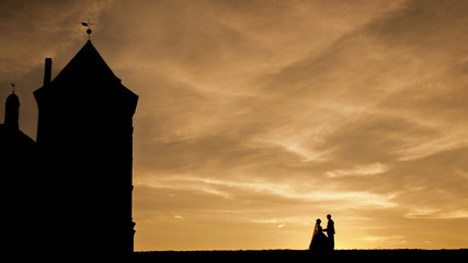 bride and groom on the background of the castle, sunset