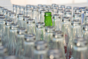 Empty glass bottles