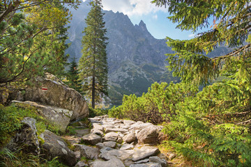High Tatras - Tourist way round of Morskie Oko lake - obrazy, fototapety, plakaty