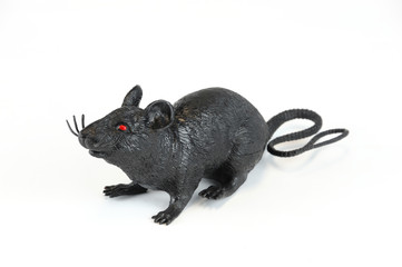 Halloween plastic black rat isolated on white background