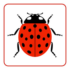 Ladybug small icon. Red lady bug sign, isolated on white background. Wildlife animal design. Cute colorful ladybird. Insect cartoon beetle. Symbol of nature, spring, summer. Vector illustration