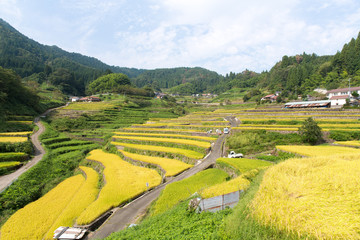 tanada (terraced paddy field) in INI