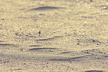 texture desert sand dunes waves