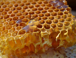 Honeycomb