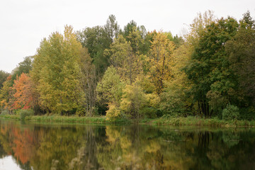 Fototapeta na wymiar autumn landscape with beautiful colored trees near pond