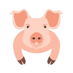 pig head face vector illustration style Flat