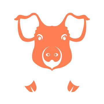 pig head face vector illustration style Flat