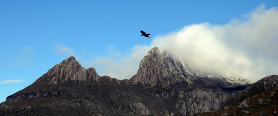 Foggy peak of Mt.Cradle in Tasmania Australia