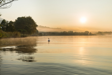 Fototapeta premium Sunrise on the lakeside of Gavirate and Varese lake, province of Varese, Italy 